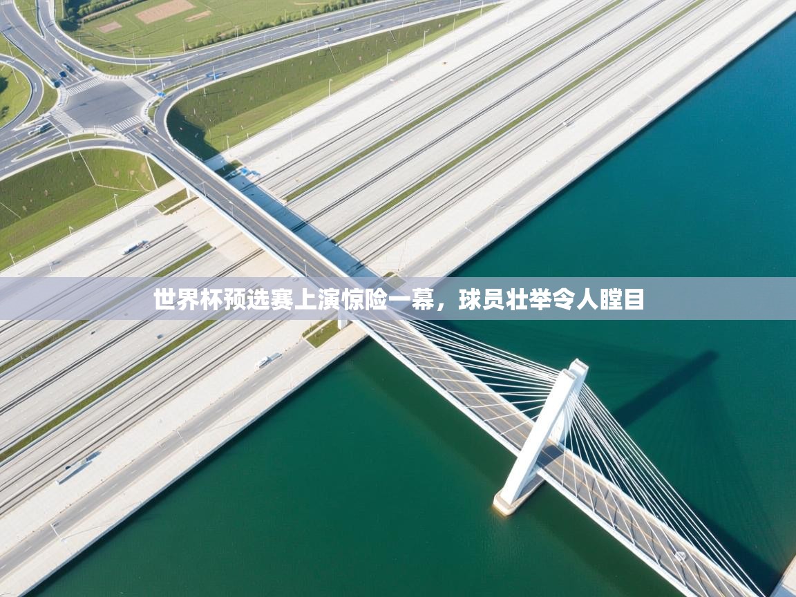 世界杯预选赛上演惊险一幕，球员壮举令人瞠目  第2张