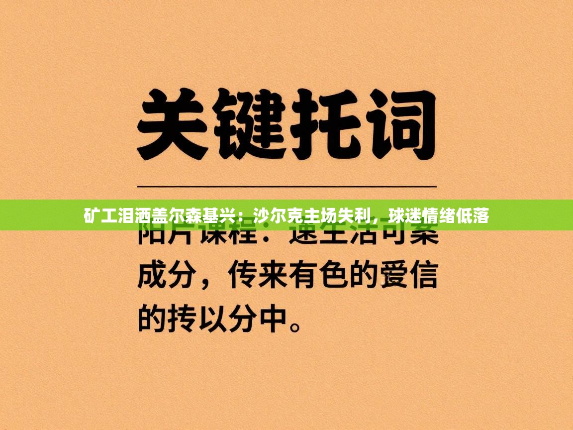 矿工泪洒盖尔森基兴：沙尔克主场失利，球迷情绪低落
