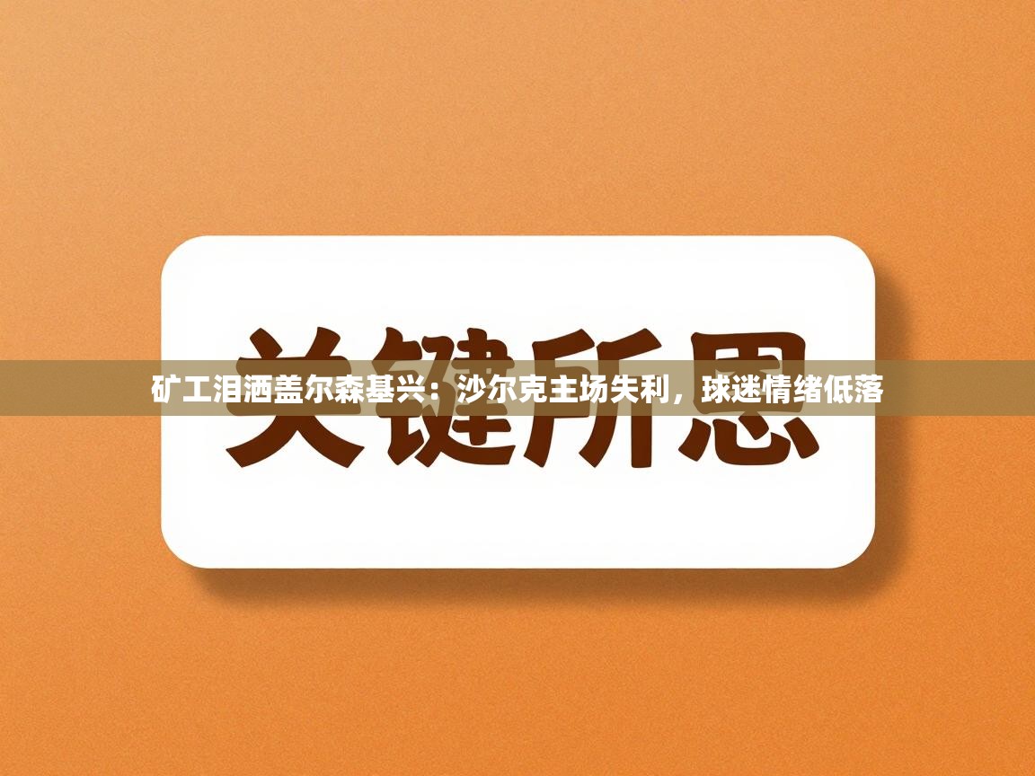 矿工泪洒盖尔森基兴：沙尔克主场失利，球迷情绪低落  第2张
