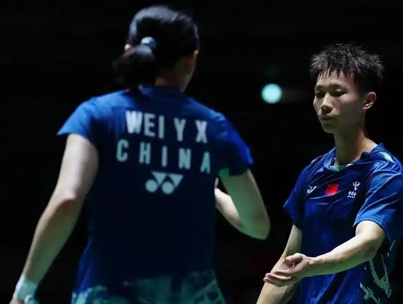 尼斯队员合作默契，连胜在望的简单介绍